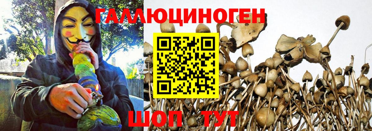 Псилоцибиновые грибы Magic Shrooms Глазов